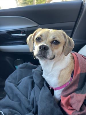 Winifred