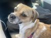 Winifred photo 2