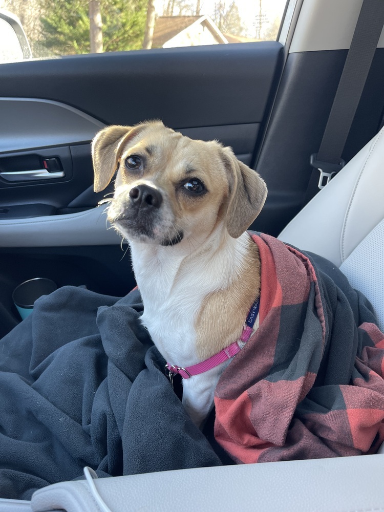 Winifred