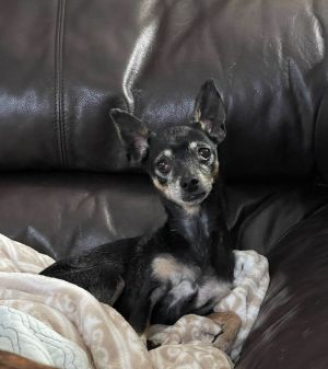 Grammy Rose, Senior Female unknown