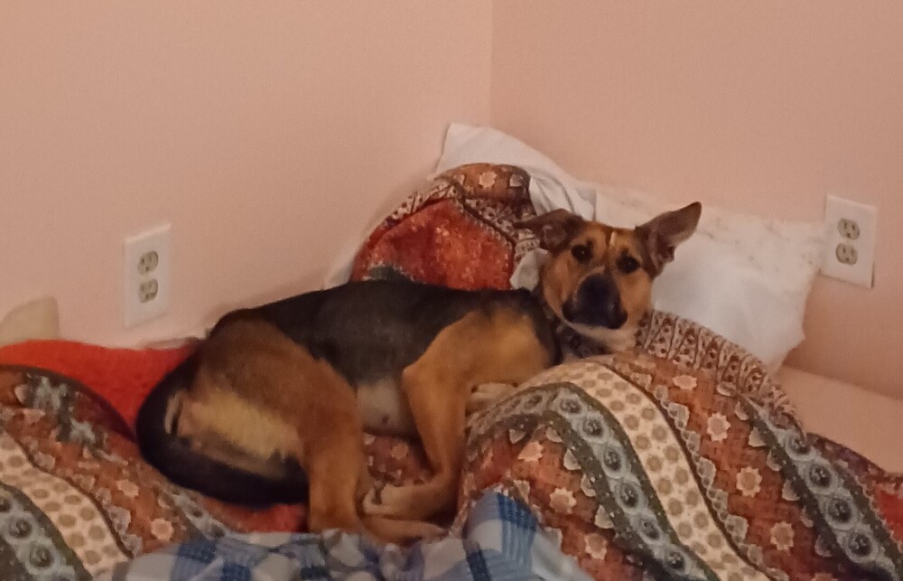 Rori