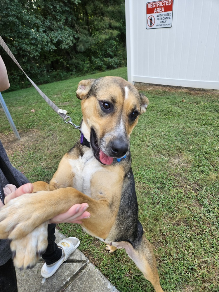 Rori