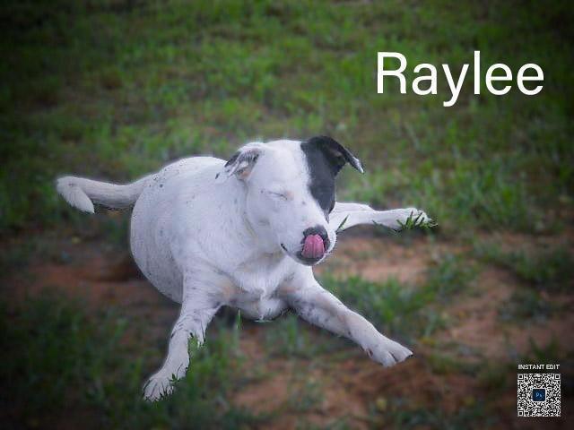 Raylee