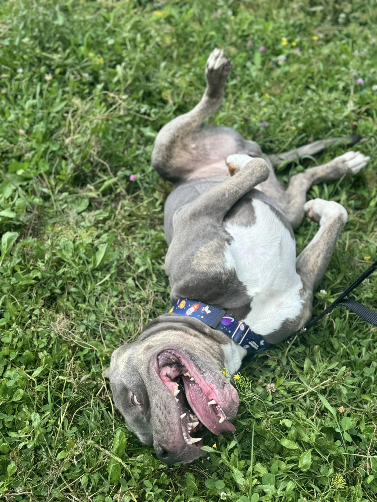 Titan