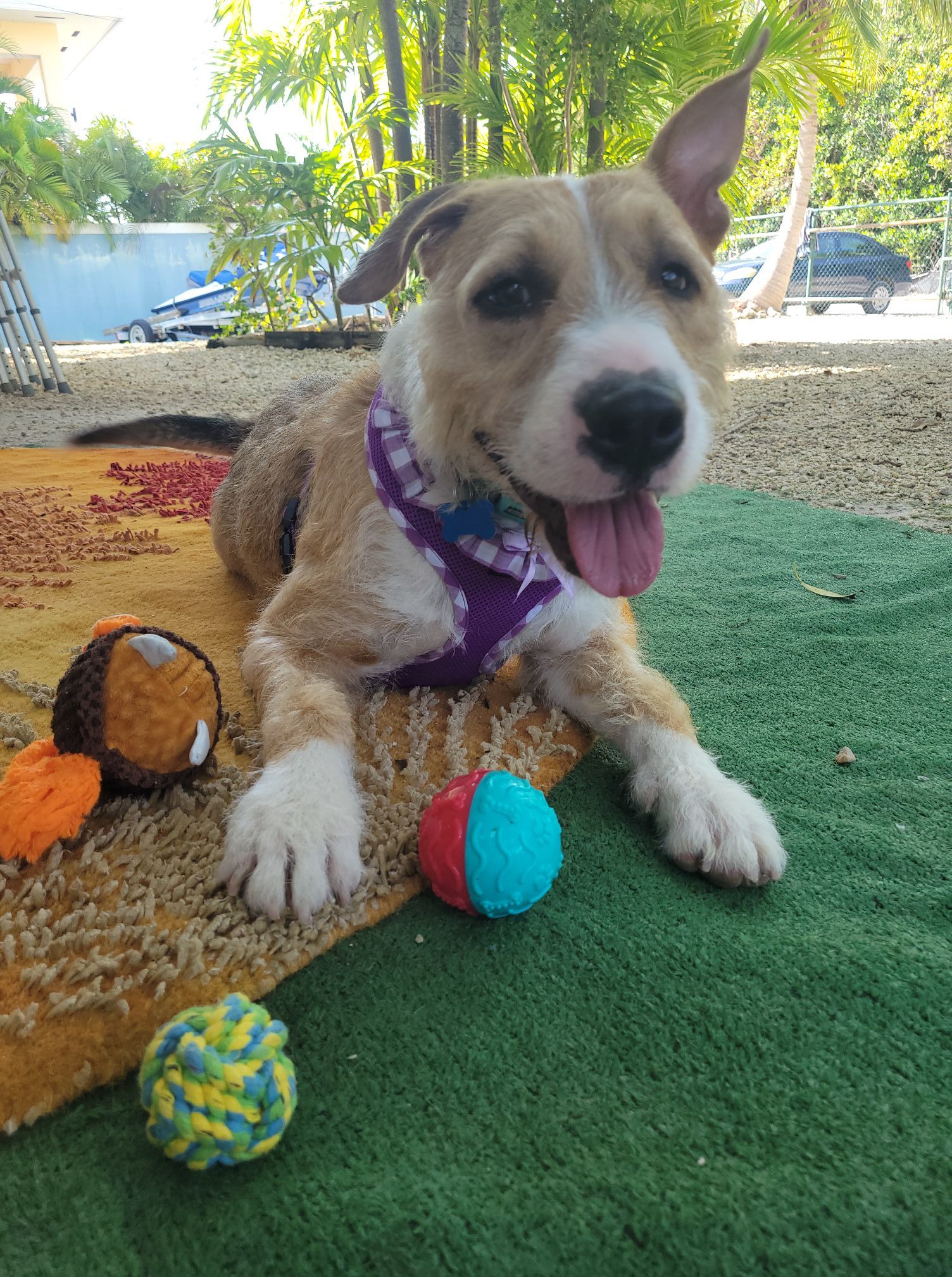 Penny