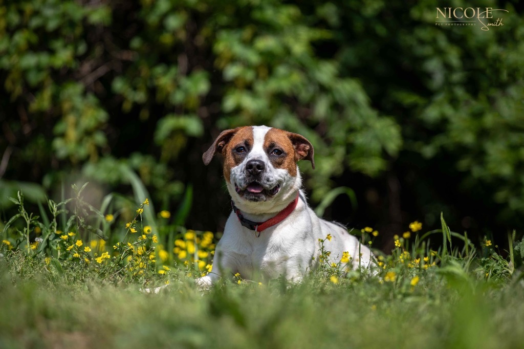 Baxter