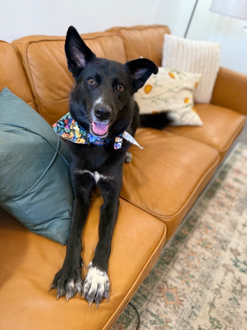 Glenda the good girl with the peaceful presence