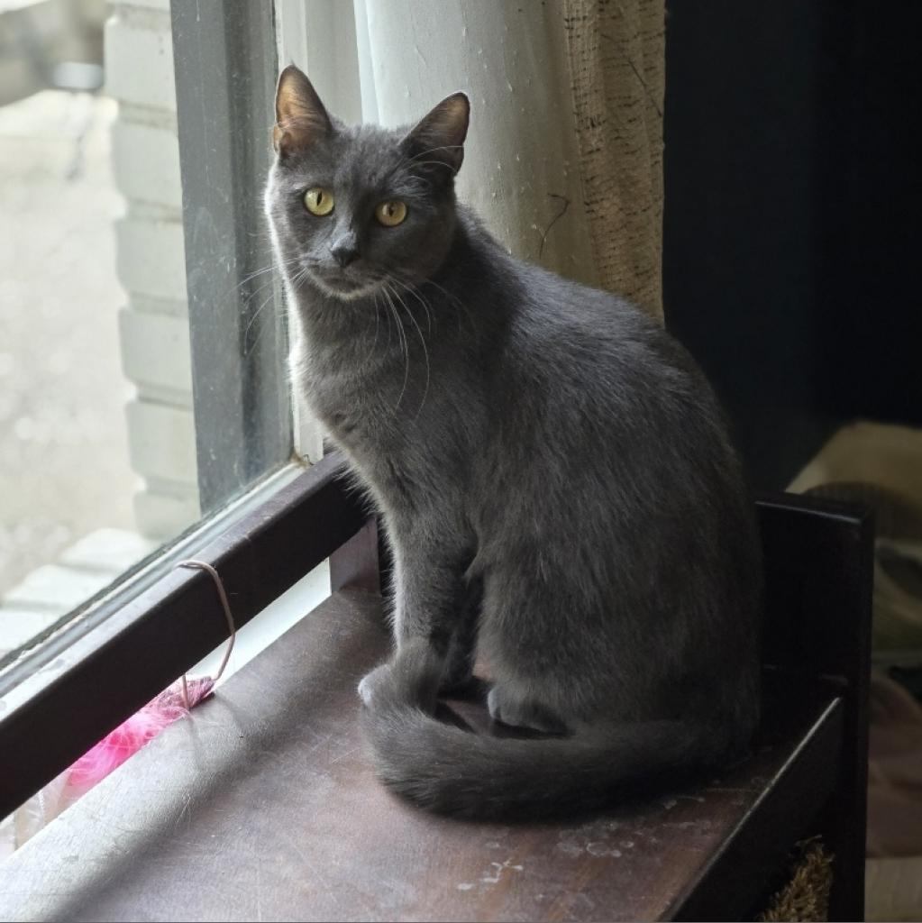 Bonnie