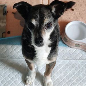 Mo, Senior Male unknown