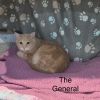 General photo 6