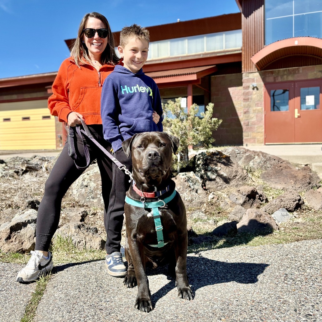 Axel, an adoptable Mixed Breed in Glenwood Springs, CO, 81601 | Photo Image 6