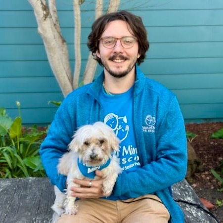 Violet, an adoptable Maltese, Dachshund in Pacific Grove, CA, 93950 | Photo Image 4
