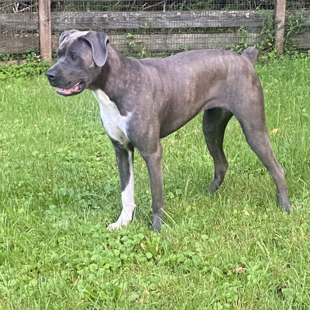 Big Luna