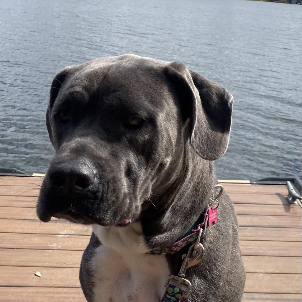 Big Luna