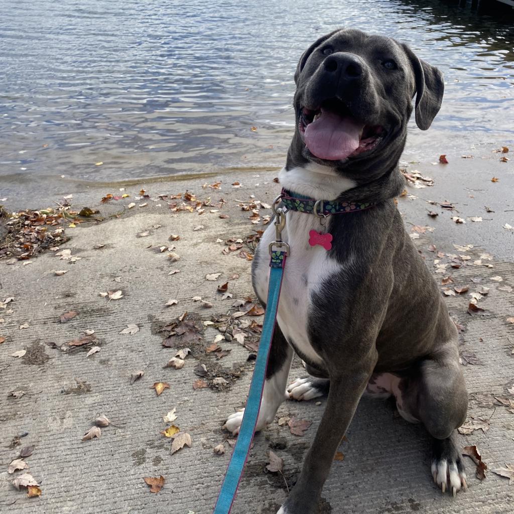 Big Luna