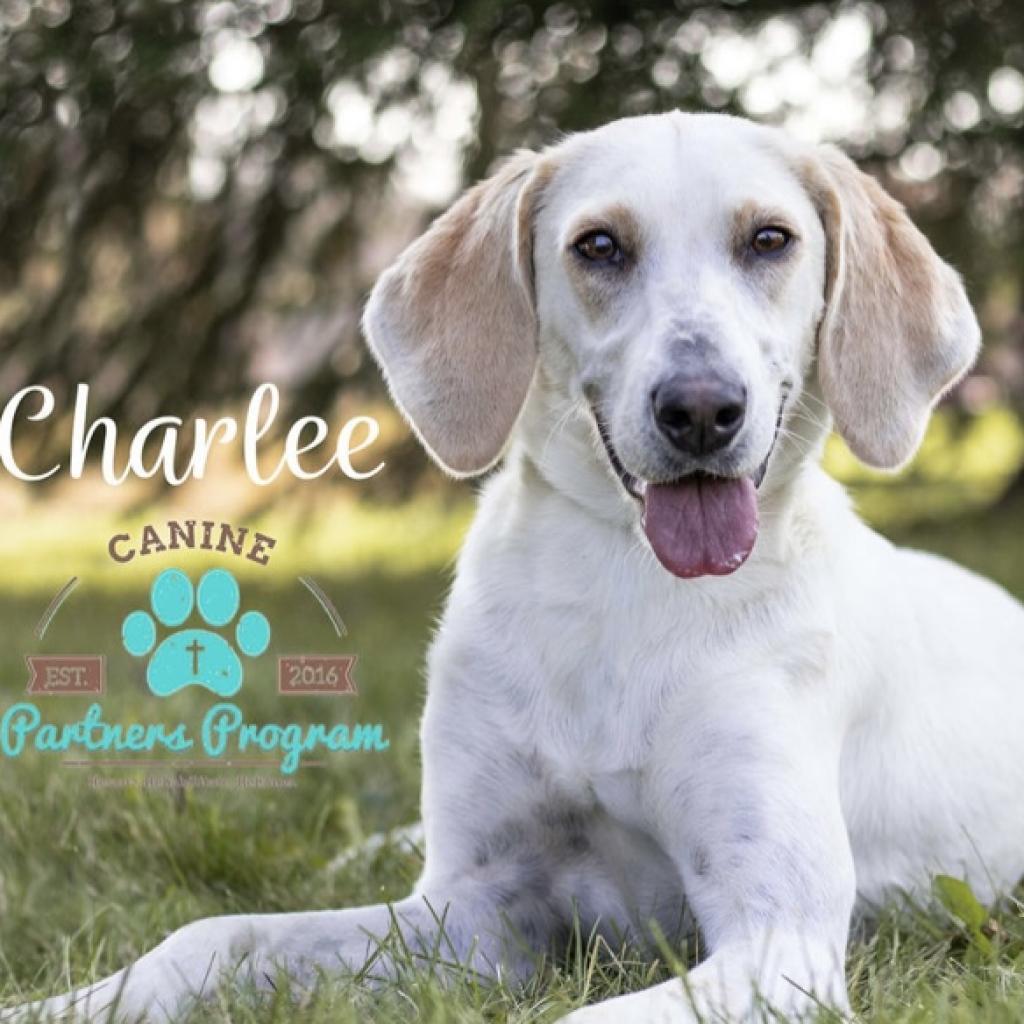Charlee Paws-In-Prison GRADUATE!