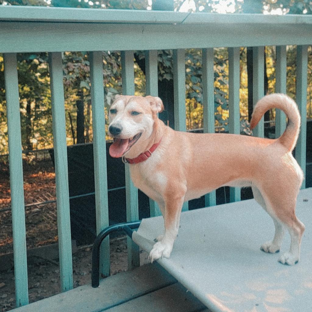 LUNA