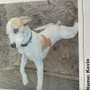 KEVIN 8872 photo 2