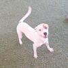 KEVIN 8872 photo 5