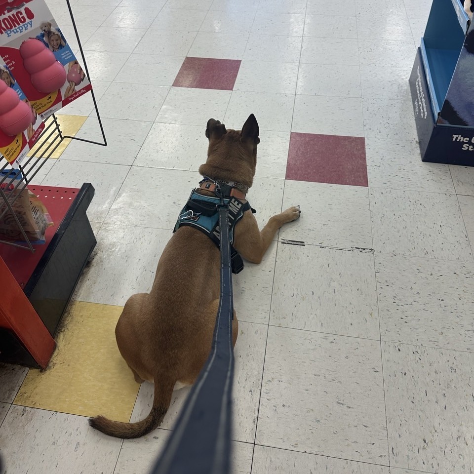 Tater
