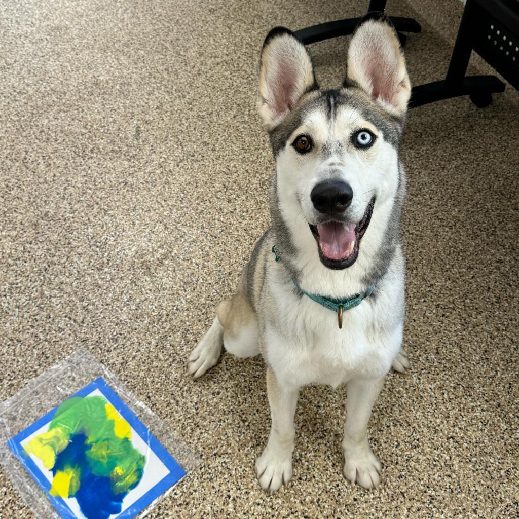 Polar