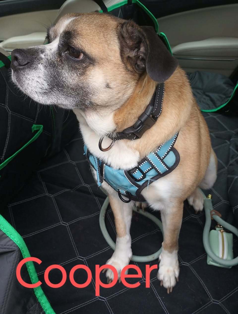 Cooper
