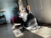 Sammie photo 3