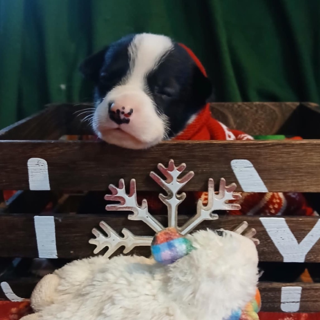 Esther