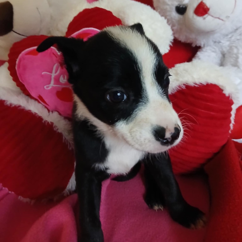 Esther