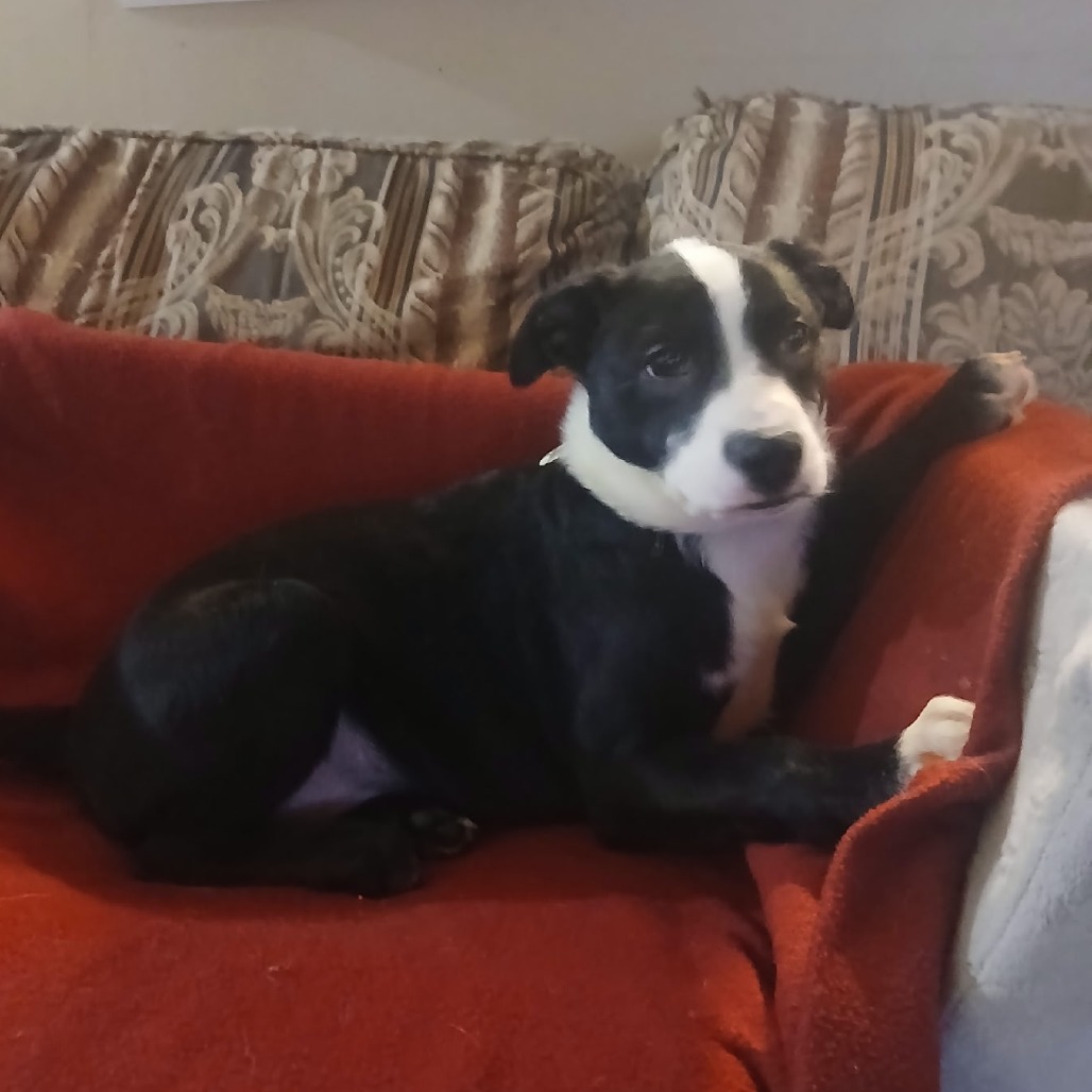 Esther