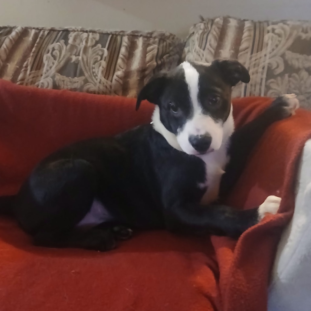 Esther