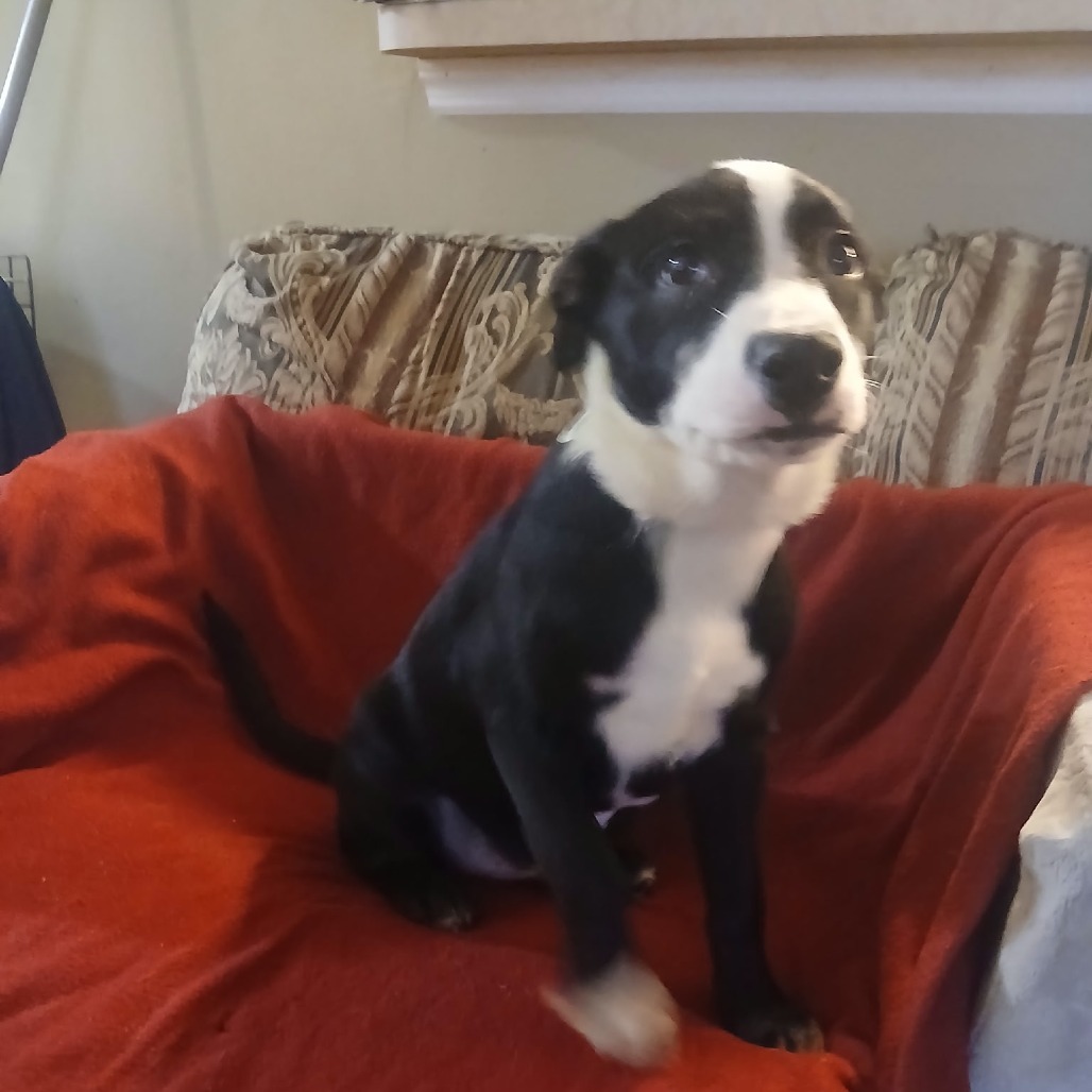 Esther