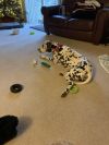 Pretzel photo 3
