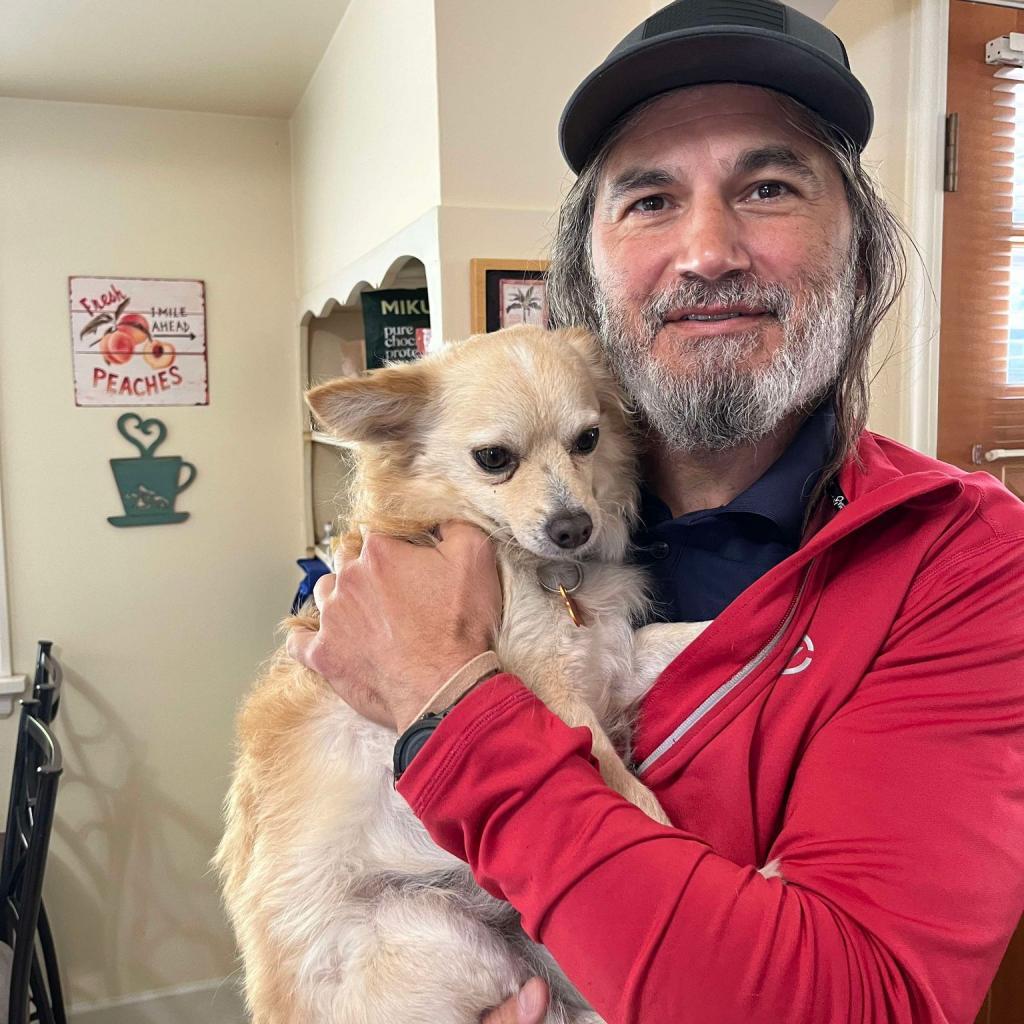 Mack, an adoptable Chihuahua, Mixed Breed in Bend, OR, 97702 | Photo Image 3