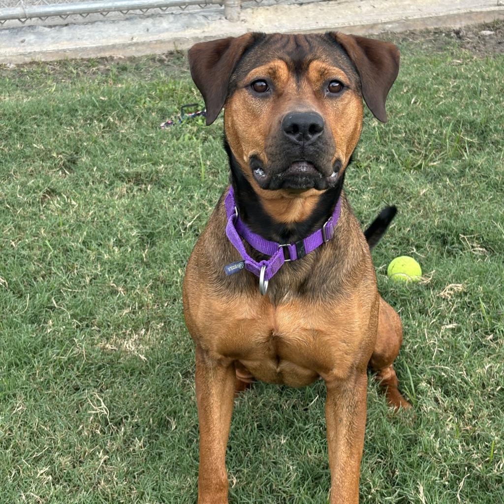 Penelope