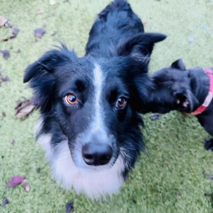 JACK (Jack & Diane) 3