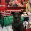 Riley photo 2