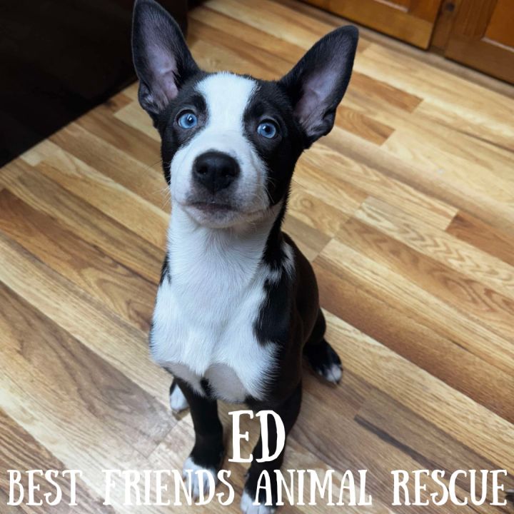 Ed 3