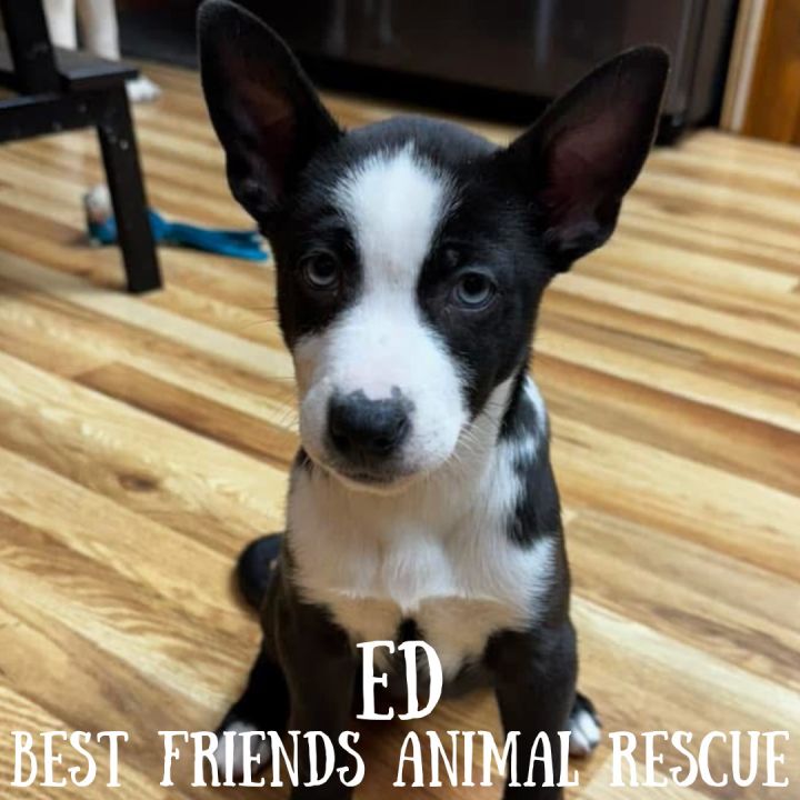 Ed 5