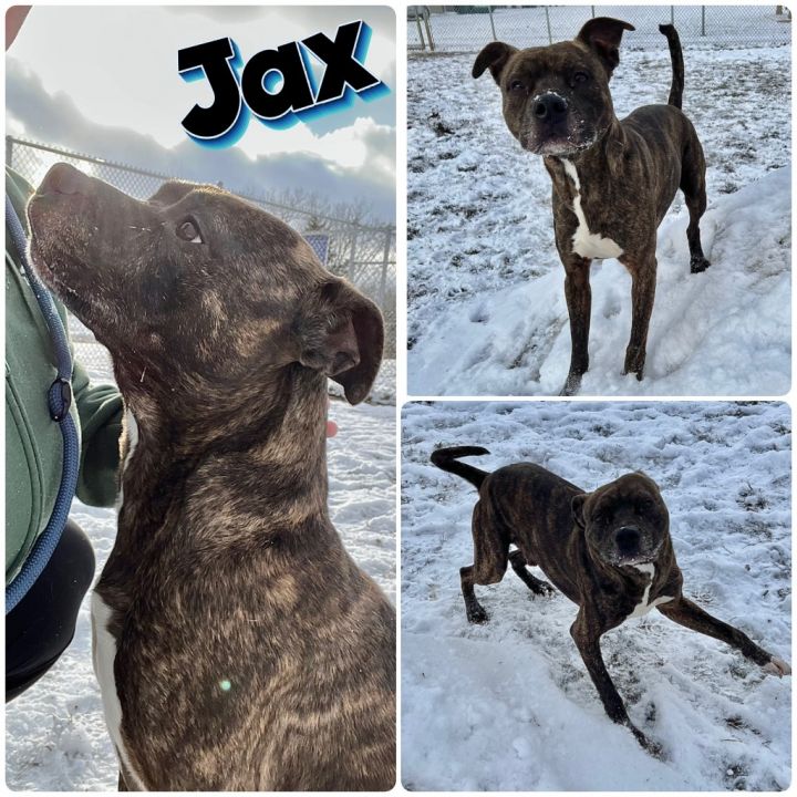 Jax 1