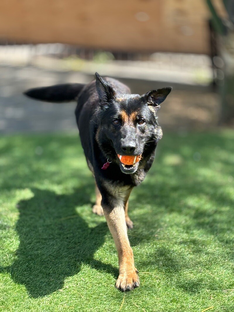 Rita