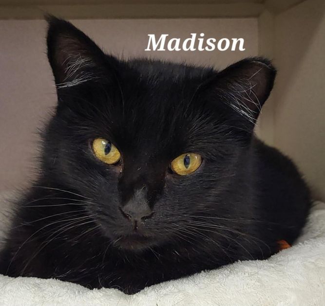 Madison
