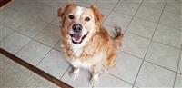 Zoey A