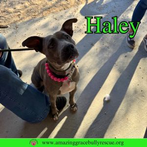 Haley, Young Female unknown