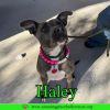 Haley photo 2