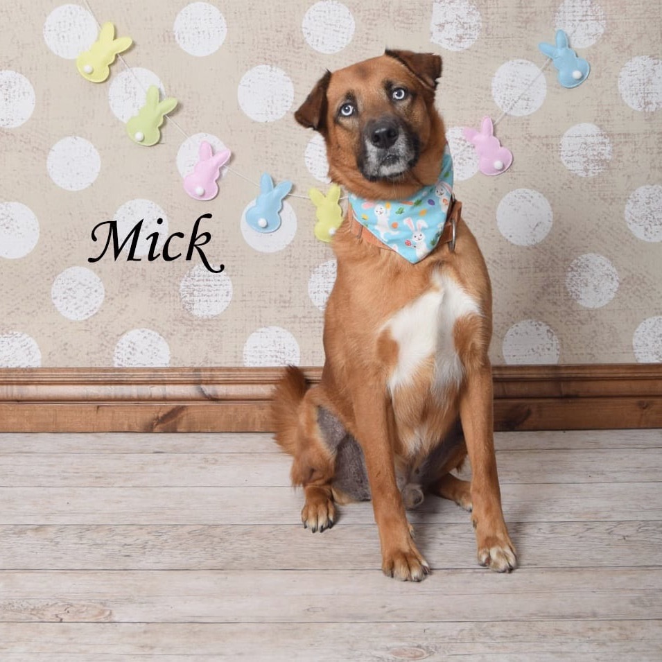 Mick