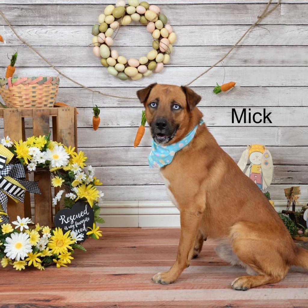 Mick