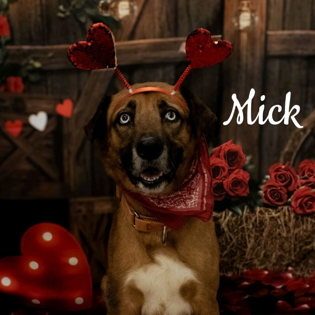 Mick