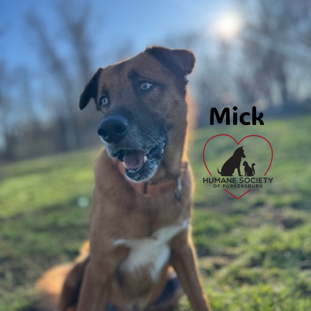 Mick
