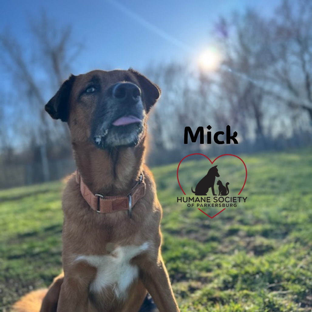 Mick